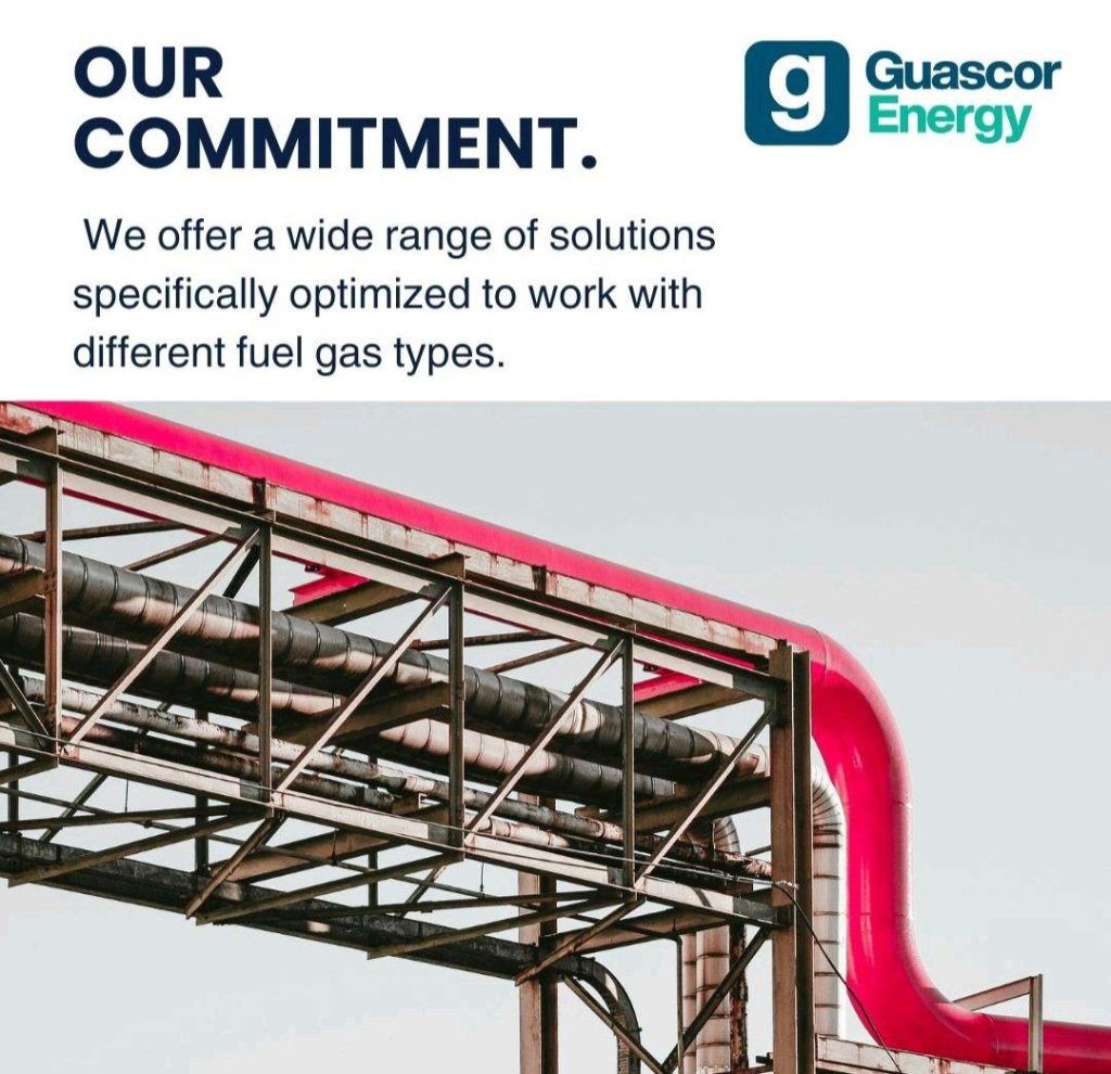 نحوه نگهداری ژنراتور گازسوز